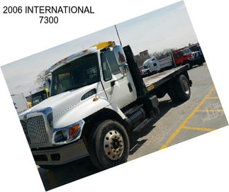 2006 INTERNATIONAL 7300