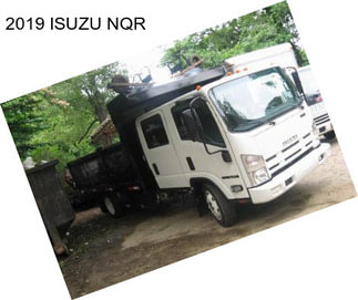 2019 ISUZU NQR