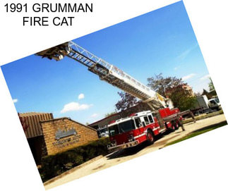 1991 GRUMMAN FIRE CAT