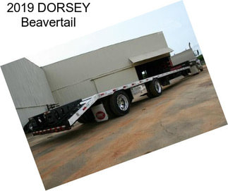 2019 DORSEY Beavertail