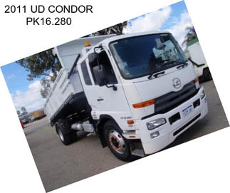 2011 UD CONDOR PK16.280