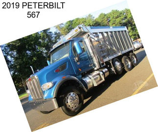 2019 PETERBILT 567