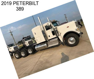 2019 PETERBILT 389