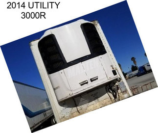 2014 UTILITY 3000R