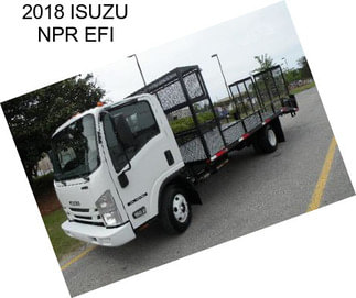 2018 ISUZU NPR EFI