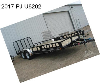 2017 PJ U8202