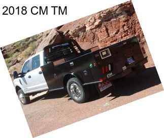 2018 CM TM