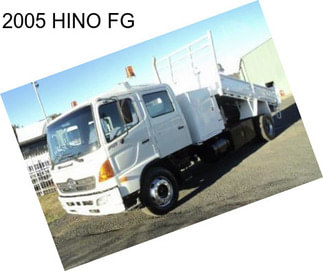 2005 HINO FG