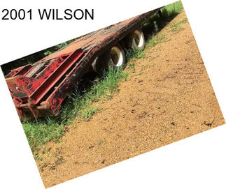 2001 WILSON