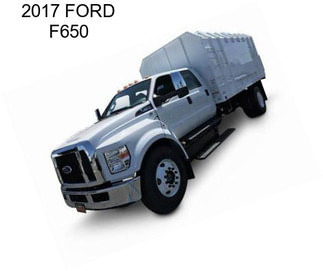 2017 FORD F650