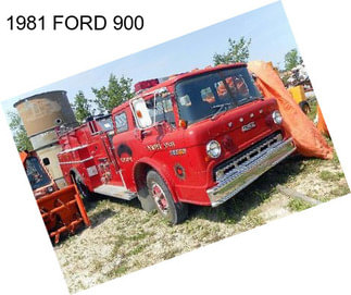 1981 FORD 900
