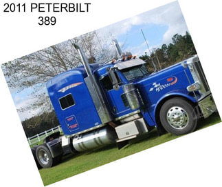 2011 PETERBILT 389