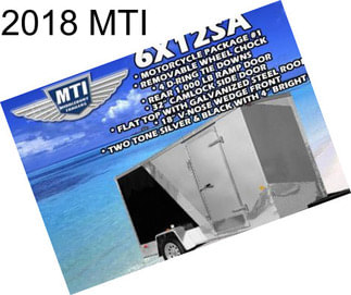 2018 MTI