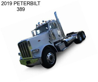 2019 PETERBILT 389