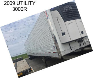 2009 UTILITY 3000R