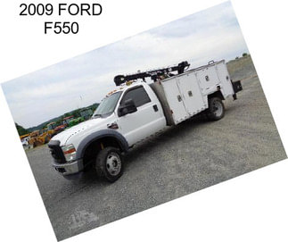 2009 FORD F550