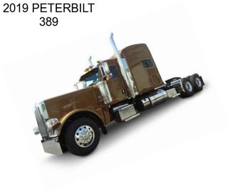 2019 PETERBILT 389