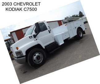 2003 CHEVROLET KODIAK C7500