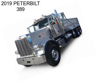 2019 PETERBILT 389