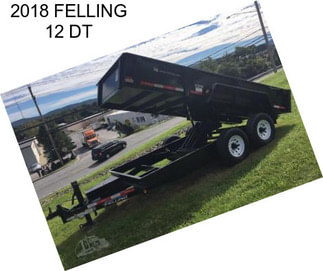 2018 FELLING 12 DT