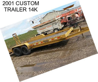 2001 CUSTOM TRAILER 14K