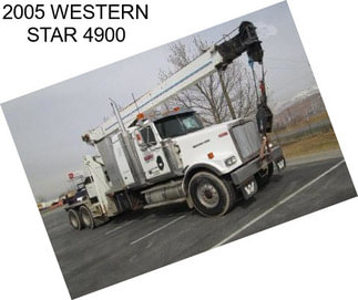 2005 WESTERN STAR 4900