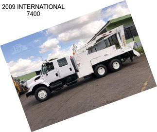 2009 INTERNATIONAL 7400