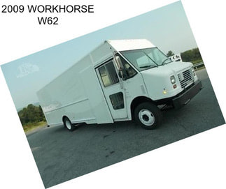 2009 WORKHORSE W62