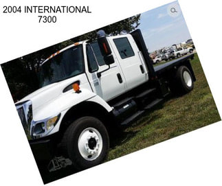 2004 INTERNATIONAL 7300