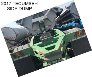 2017 TECUMSEH SIDE DUMP