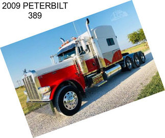 2009 PETERBILT 389