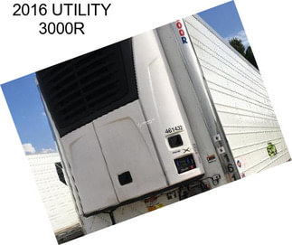 2016 UTILITY 3000R