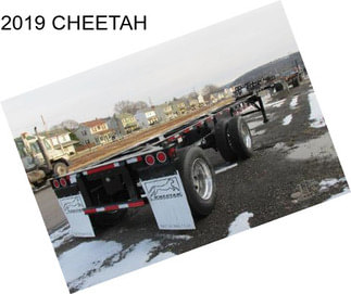 2019 CHEETAH