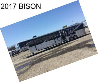 2017 BISON