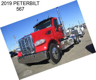 2019 PETERBILT 567