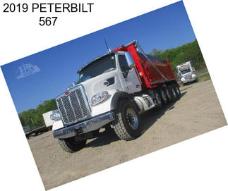 2019 PETERBILT 567