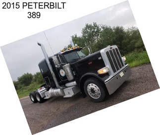 2015 PETERBILT 389