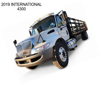 2019 INTERNATIONAL 4300