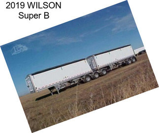 2019 WILSON Super B