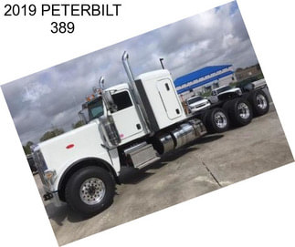 2019 PETERBILT 389