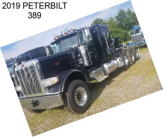 2019 PETERBILT 389