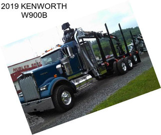 2019 KENWORTH W900B