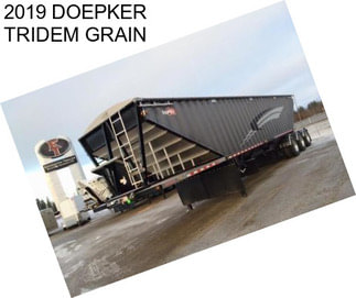 2019 DOEPKER TRIDEM GRAIN