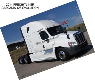 2014 FREIGHTLINER CASCADIA 125 EVOLUTION