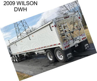 2009 WILSON DWH