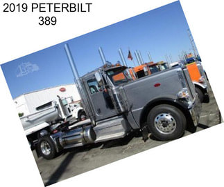 2019 PETERBILT 389