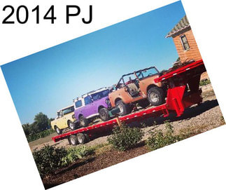 2014 PJ