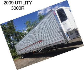 2009 UTILITY 3000R