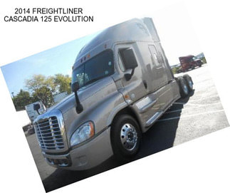 2014 FREIGHTLINER CASCADIA 125 EVOLUTION