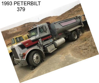 1993 PETERBILT 379